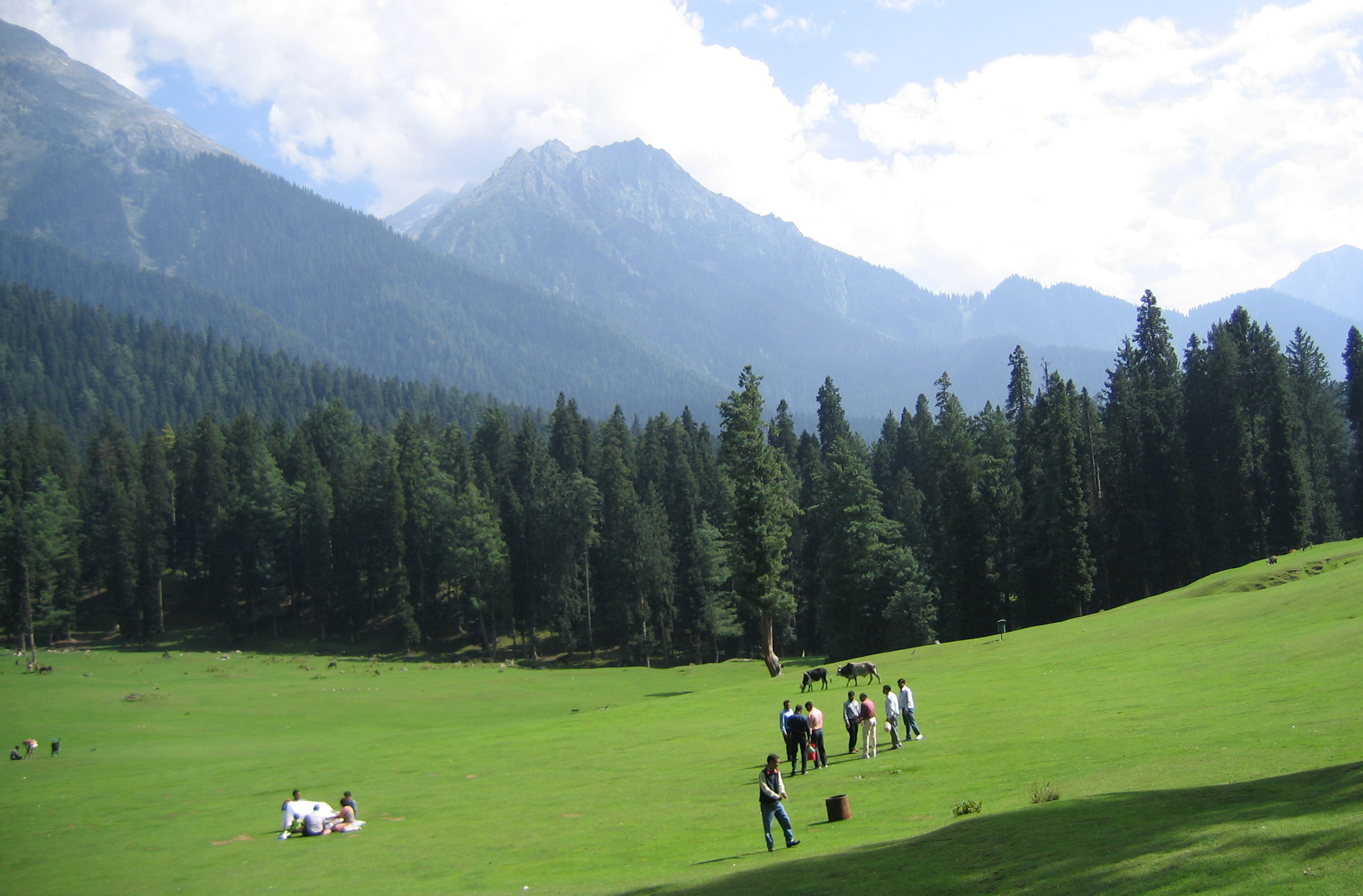 Kolahoi Glacier Trek