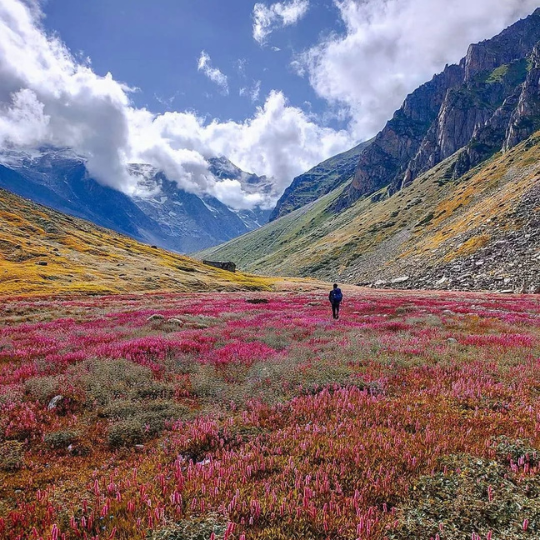 Harshil Valley